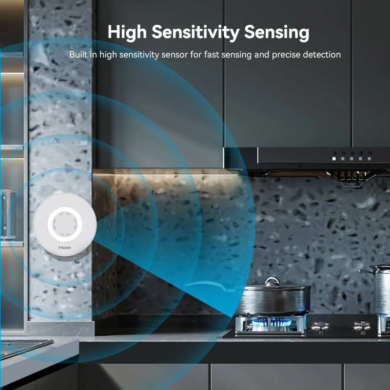Meian Zigbee Rilevatore di gas - Home Security Gadgets recensione e prezzo