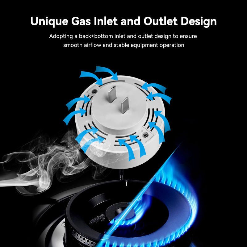 Meian Zigbee Rilevatore di gas - Home Security Gadgets recensione e prezzo