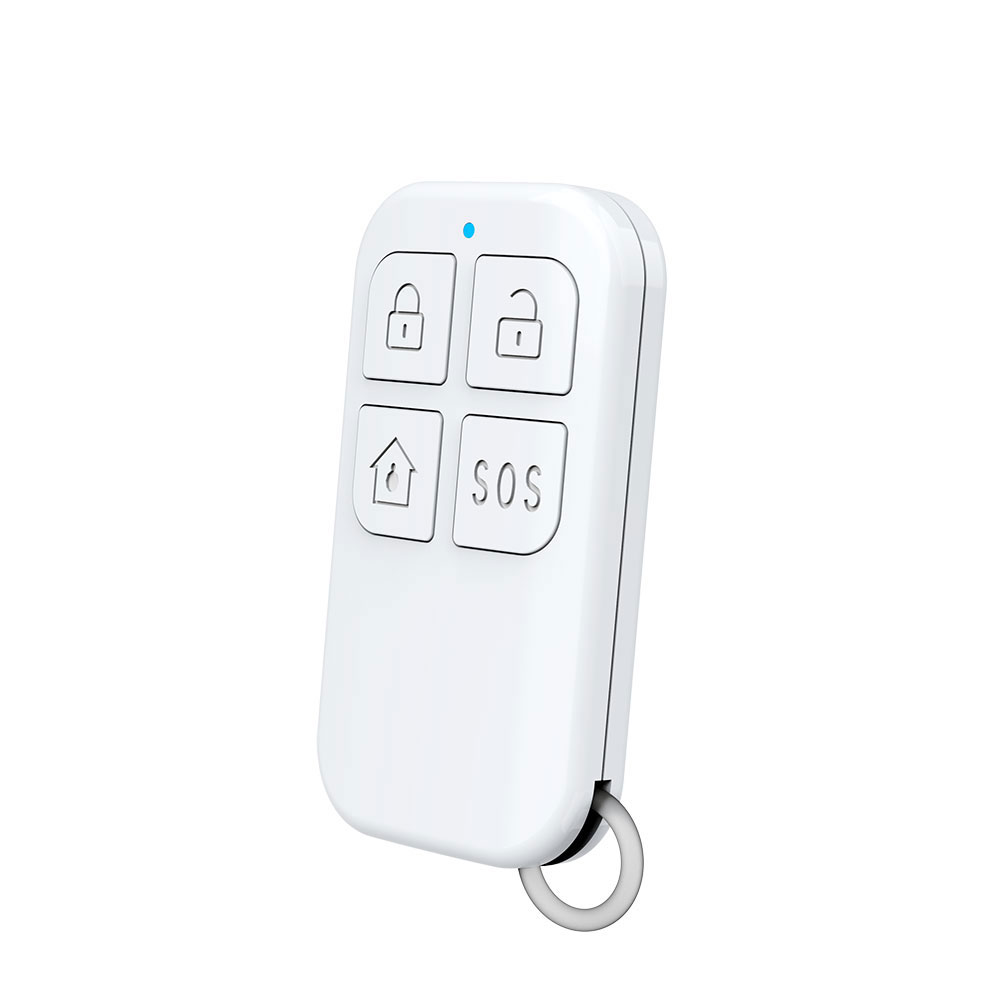 Rilevatore di telecomando wire - Home Security Gadgets recensione e prezzo