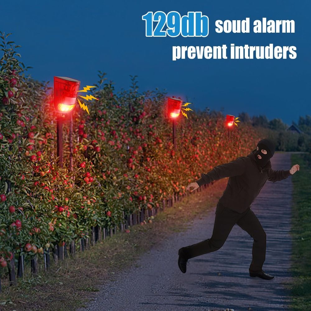 Allarme di Sicurezza Solare Im - Home Security Yard Sign recensione e prezzo