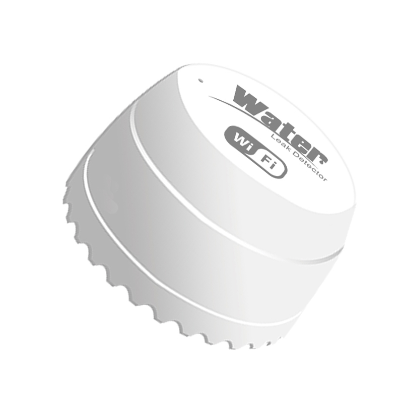 Rilevatore di perdite d'acqua  - Home Security Outdoor recensione e prezzo