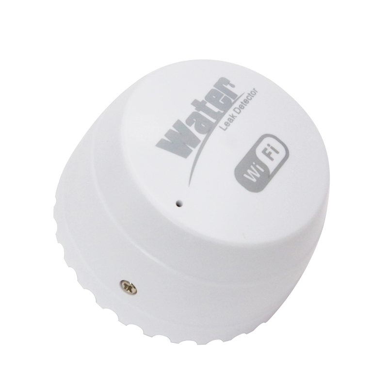 Rilevatore di perdite d'acqua  - Home Security Outdoor recensione e prezzo